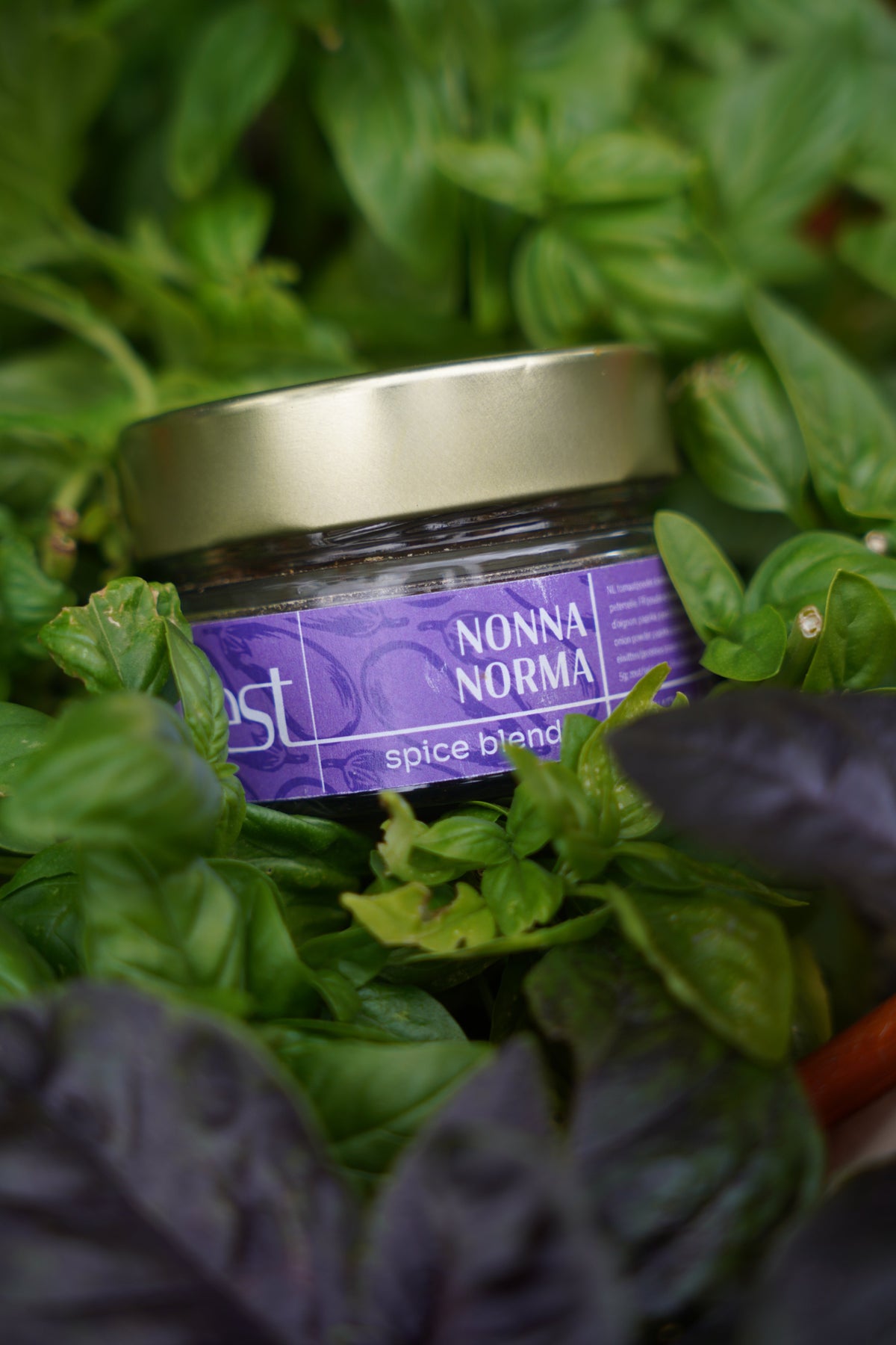 Taste of Europe | 5 European Spice Blends
